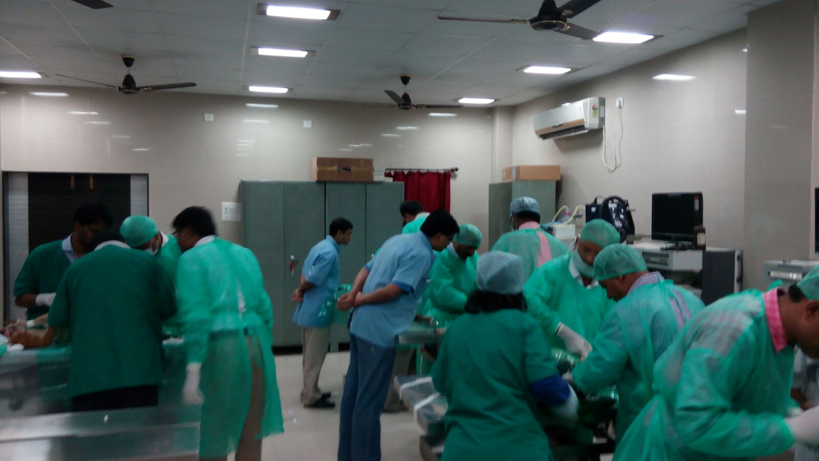 Small Animal Anaesthesiology And Laparoscopy Training 2015